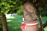 Leica APO-Summicron-SL 35 mm f/2 ASPH. - Zdj�cia przyk�adowe