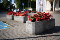 Leica APO-Summicron-SL 35 mm f/2 ASPH. - Zdj�cia przyk�adowe