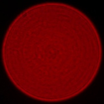 Leica APO-Summicron-SL 35 mm f/2 ASPH. - Koma, astygmatyzm i bokeh