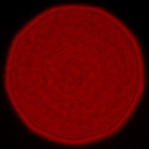 Leica APO-Summicron-SL 35 mm f/2 ASPH. - Koma, astygmatyzm i bokeh