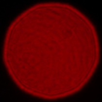 Leica APO-Summicron-SL 35 mm f/2 ASPH. - Koma, astygmatyzm i bokeh