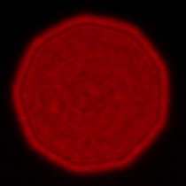 Leica APO-Summicron-SL 35 mm f/2 ASPH. - Koma, astygmatyzm i bokeh