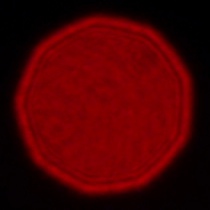 Leica APO-Summicron-SL 35 mm f/2 ASPH. - Koma, astygmatyzm i bokeh