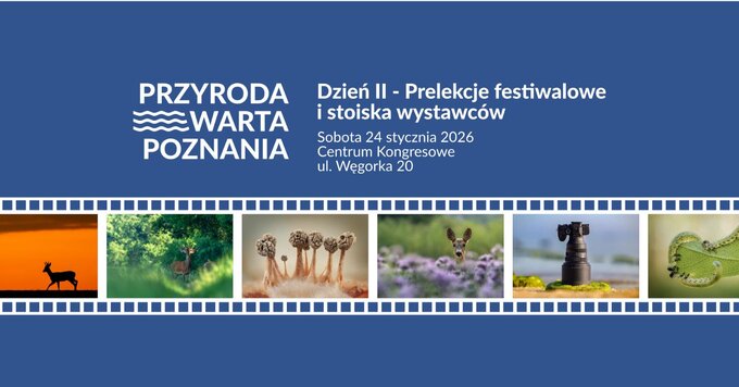 Przyroda Warta Poznania