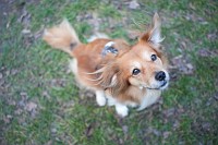 Sony DSC-RX1R III - Zdj�cia przyk�adowe