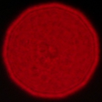 Viltrox AF 35 mm f/1.2 LAB - Koma, astygmatyzm i bokeh