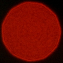 Nikon Nikkor Z 35 mm f/1.2 S - Koma, astygmatyzm i bokeh