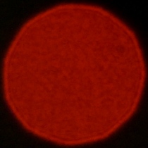 Nikon Nikkor Z 35 mm f/1.2 S - Koma, astygmatyzm i bokeh