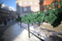 Nikkor Z 35 mm f/1.2 S - zdj�cia przyk�adowe