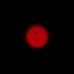 Voigtlander Apo Lanthar 28 mm f/2 Aspherical - Aberacja chromatyczna i sferyczna