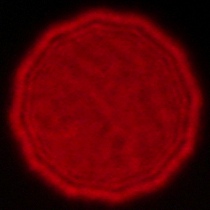 Voigtlander Apo Lanthar 28 mm f/2 Aspherical - Koma, astygmatyzm i bokeh