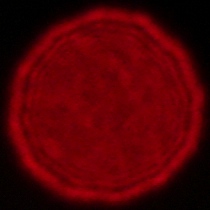 Voigtlander Apo Lanthar 28 mm f/2 Aspherical - Koma, astygmatyzm i bokeh