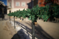 Sigma A 35 mm f/1.2 DG II - zdj�cia przyk�adowe