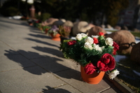 Sigma A 35 mm f/1.2 DG II - zdj�cia przyk�adowe