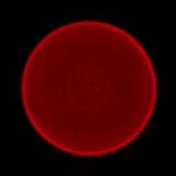 Sigma A 35 mm f/1.2 DG II - Aberracja chromatyczna i sferyczna