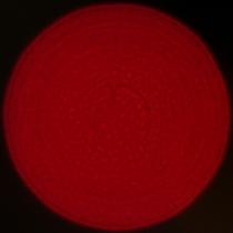 Sigma A 35 mm f/1.2 DG II - Koma, astygmatyzm i bokeh