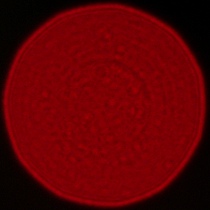 Sigma A 35 mm f/1.2 DG II - Koma, astygmatyzm i bokeh