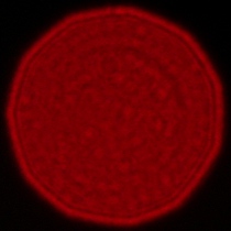 Sigma A 35 mm f/1.2 DG II - Koma, astygmatyzm i bokeh