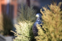 Viltrox AF 50 mm f/1.4 Pro - zdj�cia przyk�adowe