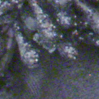 Canon EOS R6 Mark III - Zakres i dynamika tonalna