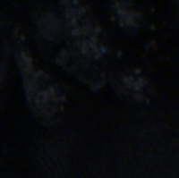 Canon EOS R6 Mark III - Zakres i dynamika tonalna