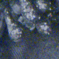 Canon EOS R6 Mark III - Zakres i dynamika tonalna