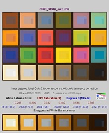 Canon EOS R6 Mark III - Balans bieli