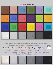 Canon EOS R6 Mark III - Balans bieli