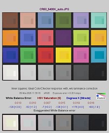 Canon EOS R6 Mark III - Balans bieli