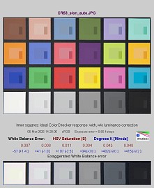 Canon EOS R6 Mark III - Balans bieli