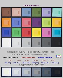 Canon EOS R6 Mark III - Balans bieli