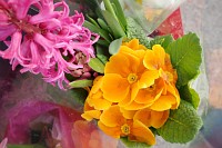 Ricoh GR IV - zdj�cia przyk�adowe