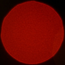 Viltrox AF 50 mm f/1.4 Pro - Koma, astygmatyzm i bokeh