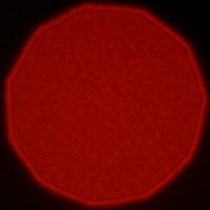 Viltrox AF 50 mm f/1.4 Pro - Koma, astygmatyzm i bokeh