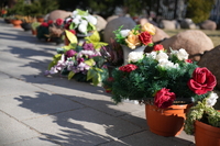 Samyang AF 24-60 mm f/2.8 FE - zdj�cia przyk�adowe