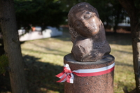 Samyang AF 24-60 mm f/2.8 FE - zdj�cia przyk�adowe