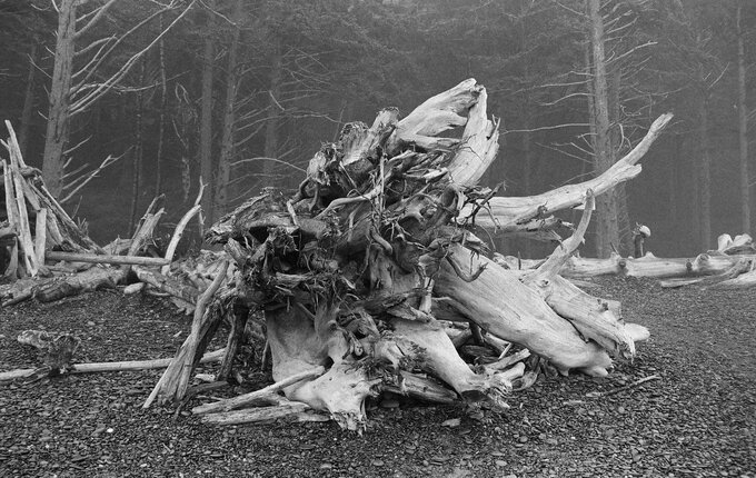 Kodak Ektapan Kodak Ektapan