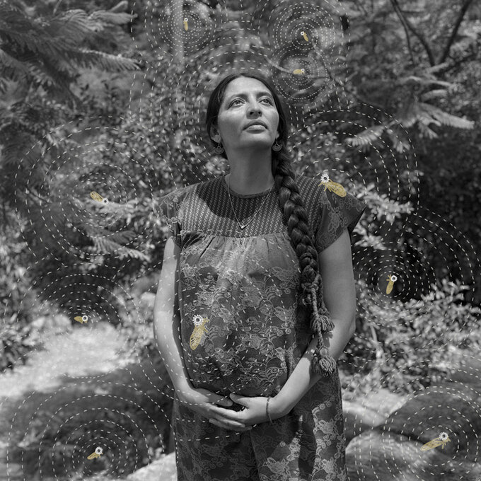 Zwyci�zcy Sony World Photography Awards 2026