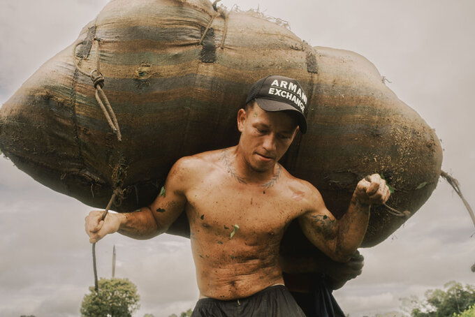 Zwyci�zcy Sony World Photography Awards 2026