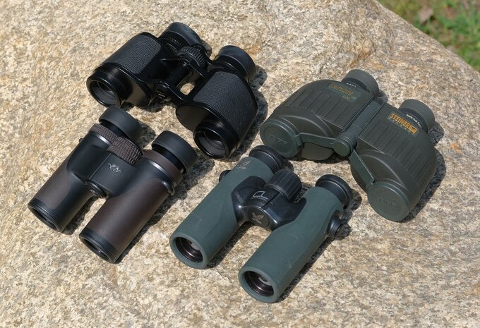 Recenzja lornetki Blaser Primus 8x30 czyli osio�kowi w ��oby dano - Blaser Primus 8x30 vs Nikon 8x30 E II vs Steiner NightHunter 8x30 XP vs Swarovski CL Companion 8x30 B