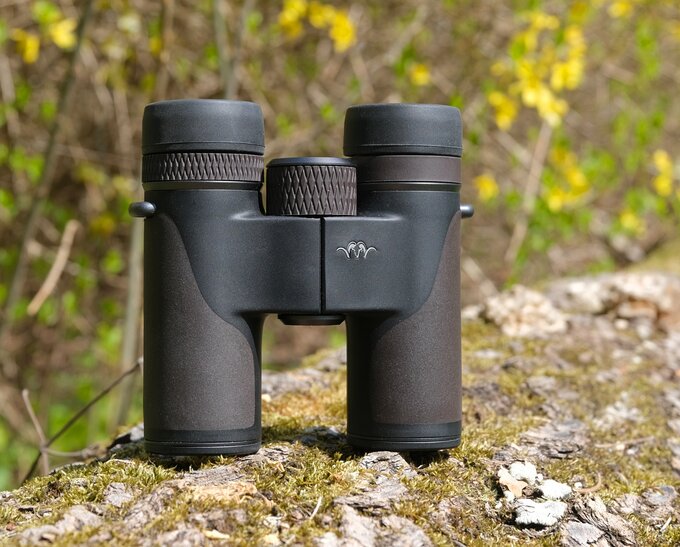 Recenzja lornetki Blaser Primus 8x30 czyli osio�kowi w ��oby dano - Blaser Primus 8x30 vs Nikon 8x30 E II vs Steiner NightHunter 8x30 XP vs Swarovski CL Companion 8x30 B