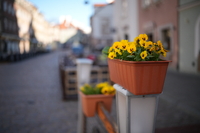 Sigma A 35 mm f/1.4 DG II - zdj�cia przyk�adowe