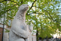 Sigma A 35 mm f/1.4 DG II - zdj�cia przyk�adowe