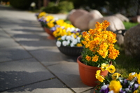 Sigma A 35 mm f/1.4 DG II - zdj�cia przyk�adowe