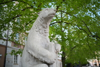 Viltrox AF 35 mm f/1.8 EVO - zdj�cia przyk�adowe