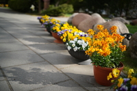 Viltrox AF 35 mm f/1.8 EVO - zdj�cia przyk�adowe