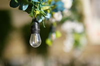 Sirui Aurora 85 mm f/1.4 - zdj�cia przyk�adowe