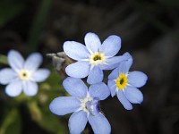 Pentax WG-8 - Zdj�cia przyk�adowe