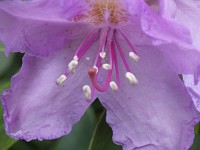 Pentax WG-8 - Zdj�cia przyk�adowe