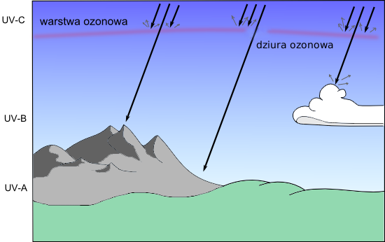 Filtry UV - Fotoszkoa Fomei i Marumi - lekcja 8